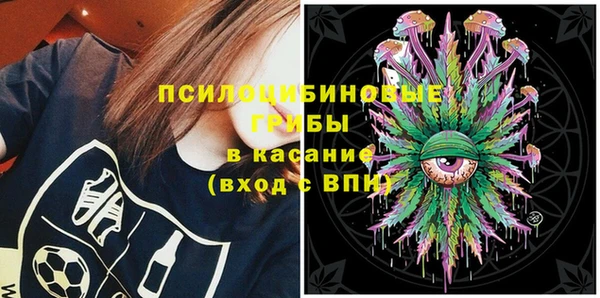 дурь Долгопрудный