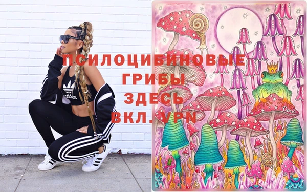 спайс Надым